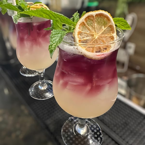 Two vibrant purple and white layered cocktails, garnished with mint and dried citrus slices, on a bar.